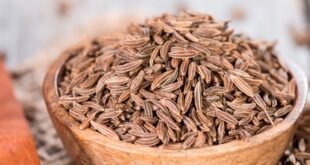 Cumin Seed Recipes