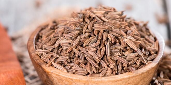 Cumin Seed Recipes