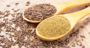 cumin benefits for digestion