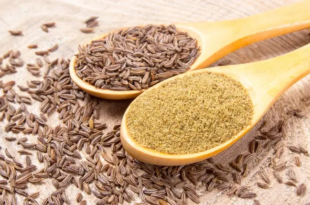 cumin benefits for digestion