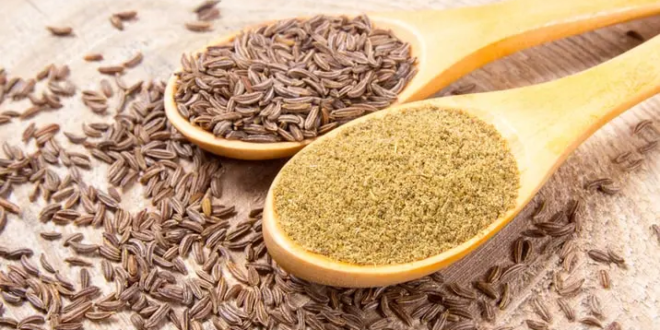 cumin benefits for digestion