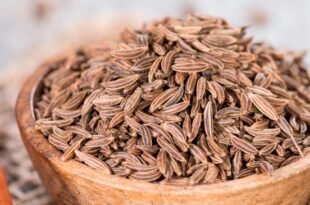 Cumin Seed Recipes