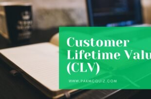 Customer Lifetime Value