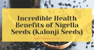 Nigella seeds health benefits